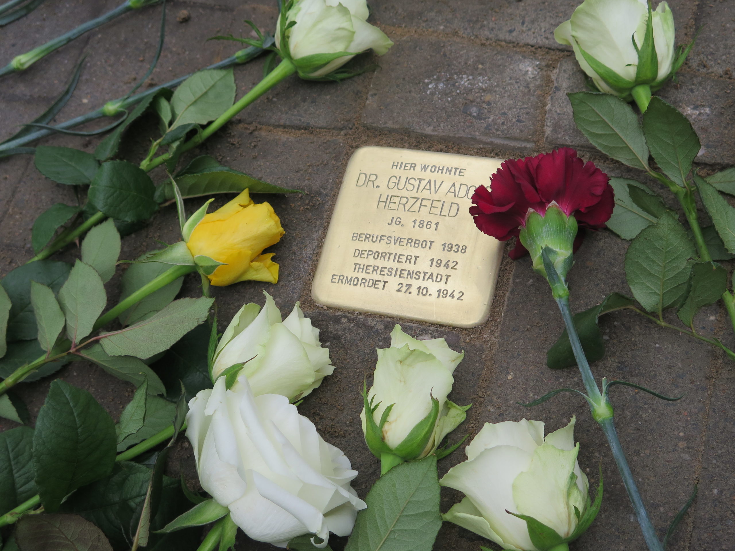 Stolpersteine in Potsdam 350 Jahre Juden in Brandenburg